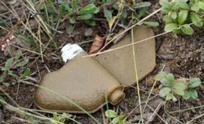 Уничтожение 3 млн противопехотных мин: Руководство Украины разоружило страну во время войны