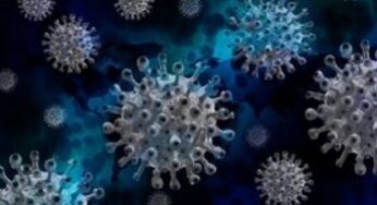 В Украине за сутки от COVID-19 умерли 44 человека