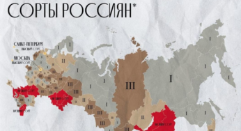Поточні втрати рф внаслідок санкцій, станом на 12.07.2022